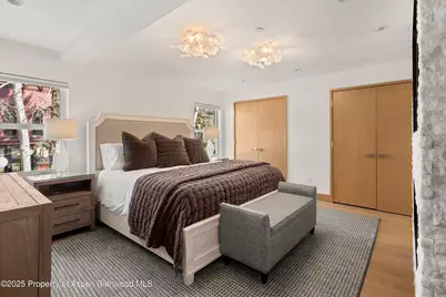 447 E Cooper Avenue #1, Aspen, CO 81611 - Photo 25
