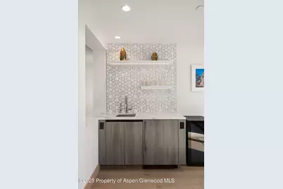 447 E Cooper Avenue #1, Aspen, CO 81611 - Photo 21