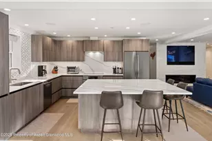 447 E Cooper Ave, Aspen, CO 81611 - Photo 13