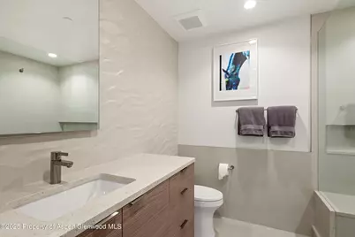 447 E Cooper Avenue #1, Aspen, CO 81611 - Photo 45