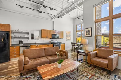 231 Robinson Street #302, Basalt, CO 81621 - Photo 3