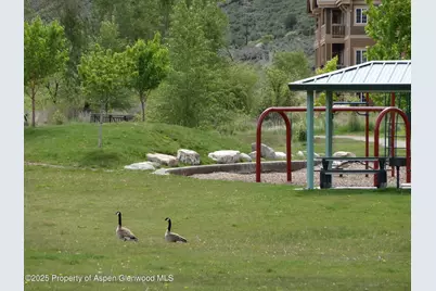 433 River View Drive #1602, New Castle, CO 81647 - Photo 23