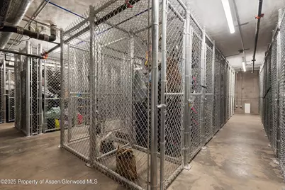 119 Wood Road #303, Snowmass Village, CO 81615 - Photo 27