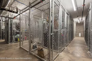 119 Wood Rd, Snowmass Village, CO 81615 - Photo 27