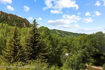 155 Lone Pine Road #8, Aspen, CO 81611 - Photo 33