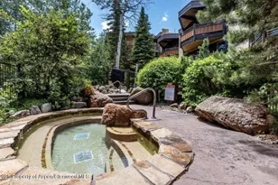 640 Carriage Way, Snowmass Village, CO 81615 - Photo 13