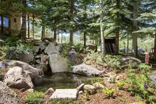 640 Carriage Way, Snowmass Village, CO 81615 - Photo 11