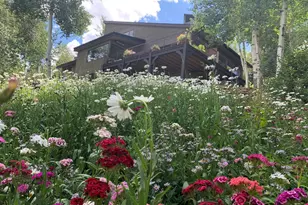 1592 Faraway Rd, Snowmass Village, CO 81615 - Photo 55