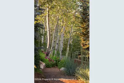 1592 Faraway Road, Snowmass Village, CO 81615 - Photo 63