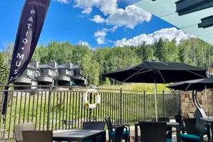 130 Wood Rd, Snowmass Village, CO 81615 - Photo 13