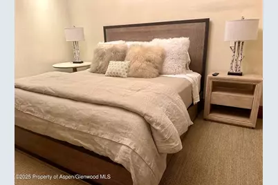 1395 Snowbunny Lane, Aspen, CO 81611 - Photo 5