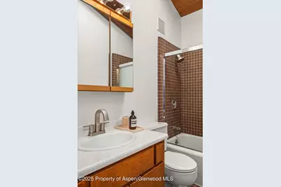 2227 Juniper Hill Drive, Aspen, CO 81611 - Photo 29