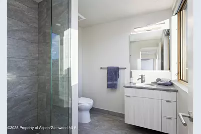 113 Valley Court, Basalt, CO 81621 - Photo 29