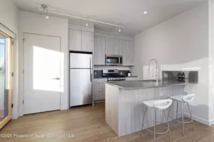 113 Valley Ct, Basalt, CO 81621 - Photo 33