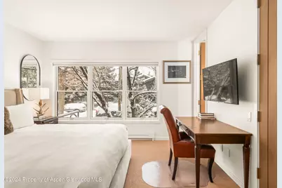 927 E Durant Avenue #3, Aspen, CO 81611 - Photo 27