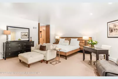 927 E Durant Avenue #3, Aspen, CO 81611 - Photo 19