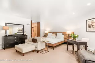 927 E Durant Ave, Aspen, CO 81611 - Photo 19