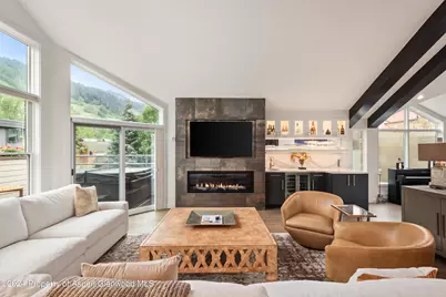 927 E Durant Avenue #3, Aspen, CO 81611 - Photo 3