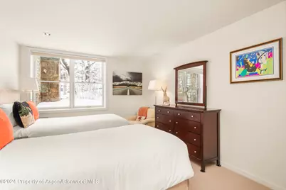 927 E Durant Avenue #3, Aspen, CO 81611 - Photo 29