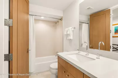 927 E Durant Avenue #3, Aspen, CO 81611 - Photo 31