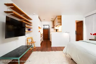 925 W North St, Aspen, CO 81611 - Photo 33