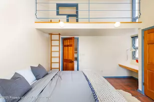 925 W North St, Aspen, CO 81611 - Photo 25
