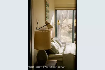 925 W North Street, Aspen, CO 81611 - Photo 29