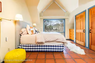 925 W North St, Aspen, CO 81611 - Photo 23