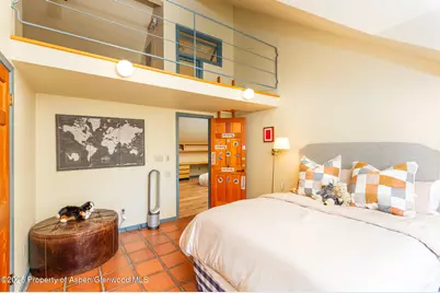 925 W North Street, Aspen, CO 81611 - Photo 23