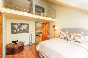 925 W North St, Aspen, CO 81611 - Photo 23