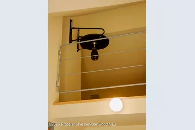 925 W North Street, Aspen, CO 81611 - Photo 25