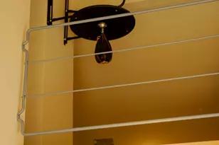 925 W North St, Aspen, CO 81611 - Photo 25