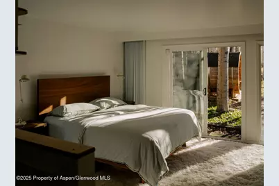 925 W North Street, Aspen, CO 81611 - Photo 31