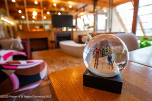 925 W North St, Aspen, CO 81611 - Photo 5