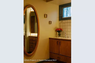 925 W North Street, Aspen, CO 81611 - Photo 27