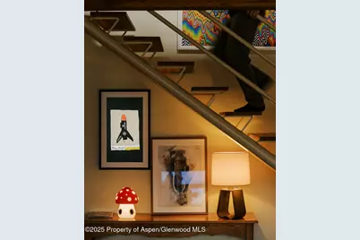 925 W North Street, Aspen, CO 81611 - Photo 13