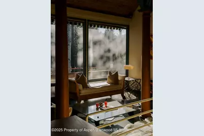 925 W North Street, Aspen, CO 81611 - Photo 17