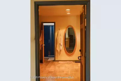 925 W North Street, Aspen, CO 81611 - Photo 29