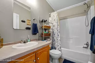 161 S Golden Dr, Silt, CO 81652 - Photo 31