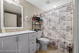 161 S Golden Dr, Silt, CO 81652 - Photo 29