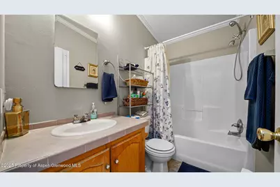 161 S Golden Drive, Silt, CO 81652 - Photo 33