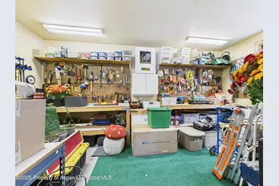 401 Wood Nymph Lane, Glenwood Springs, CO 81601 - Photo 29