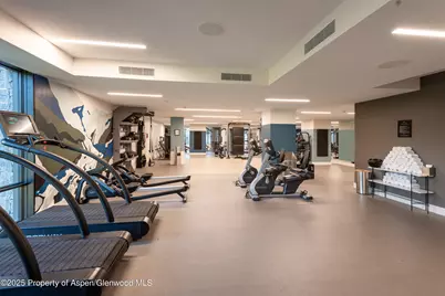 119 Wood Road #307, Snowmass Village, CO 81615 - Photo 33