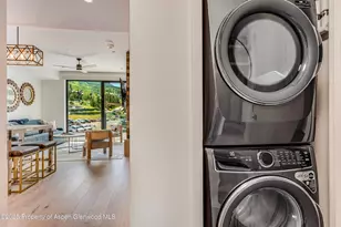 119 Wood Rd, Snowmass Village, CO 81615 - Photo 13