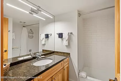 131 E Durant Avenue #104, Aspen, CO 81611 - Photo 9