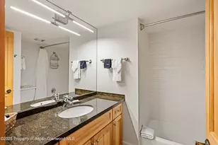 131 E Durant Ave, Aspen, CO 81611 - Photo 9