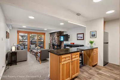 131 E Durant Avenue #104, Aspen, CO 81611 - Photo 5