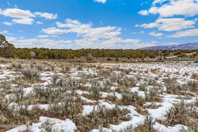 3408 Elk Springs Drive, Glenwood Springs, CO 81601 - Photo 9