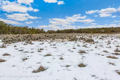 3408 Elk Springs Drive, Glenwood Springs, CO 81601 - Photo 11