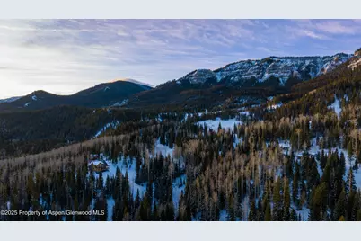 4901 Cimarron Mountain Road, Cimarron, CO 81220 - Photo 23